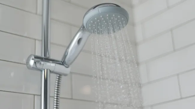 Shower head